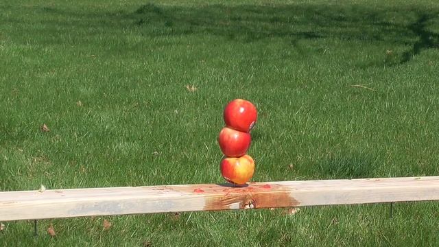 Disc Golf Fruit Ninja смотреть онлайн