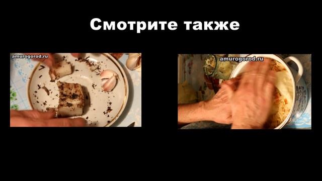 Помидоры для засолки -  ЛУЧШИЙ СОРТ ПОМИДОР для засолки (рецепты засолки)