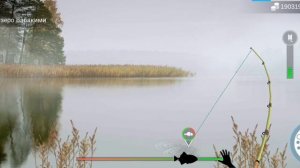 My Fishing World - Змееголов, Угорь, Лещ, Пескарь секреты где ловить | Часть - 30