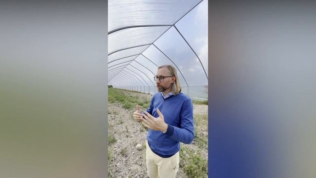 Особенности ягодных туннелей