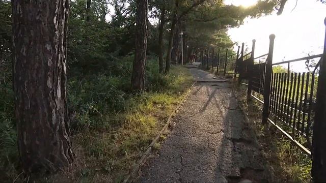 Прогулка по территории БО МО Бетта смотреть онлайн