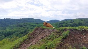 2024.05 Белая речка