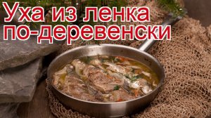 Рецепты из ленка - как приготовить ленка пошаговый рецепт - Уха из ленка по-деревенски за 45 минут
