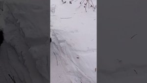 VLOG "КАК МЫ ДО ДОМА ИДЕМ" 2023 ГОД 17.01 МЫ ХОТИМ ССАТЬ