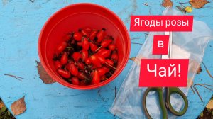 Жизни нет!🤔БУТЫЛКУ подавай!😆Глаз хоть радует!😌Сырые вкуснее!😋