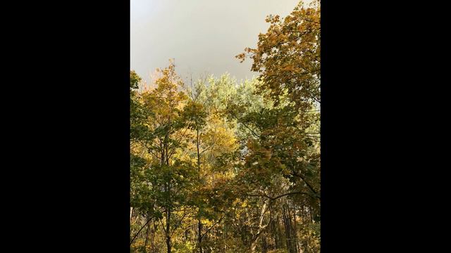 Новый Гонгора смотреть онлайн