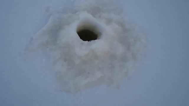 МОТОСОБАКА ПАКСУС 550 Разведка пруда смотреть онлайн