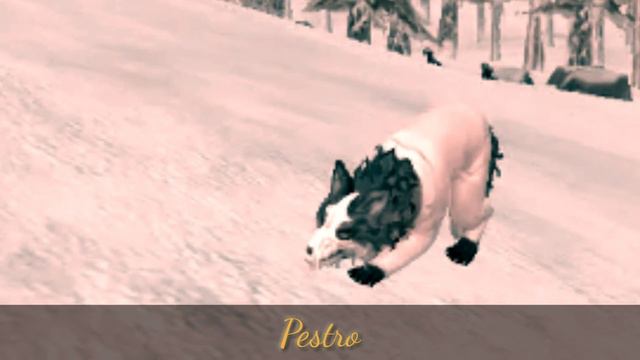 WildCraft | Психушка смотреть онлайн