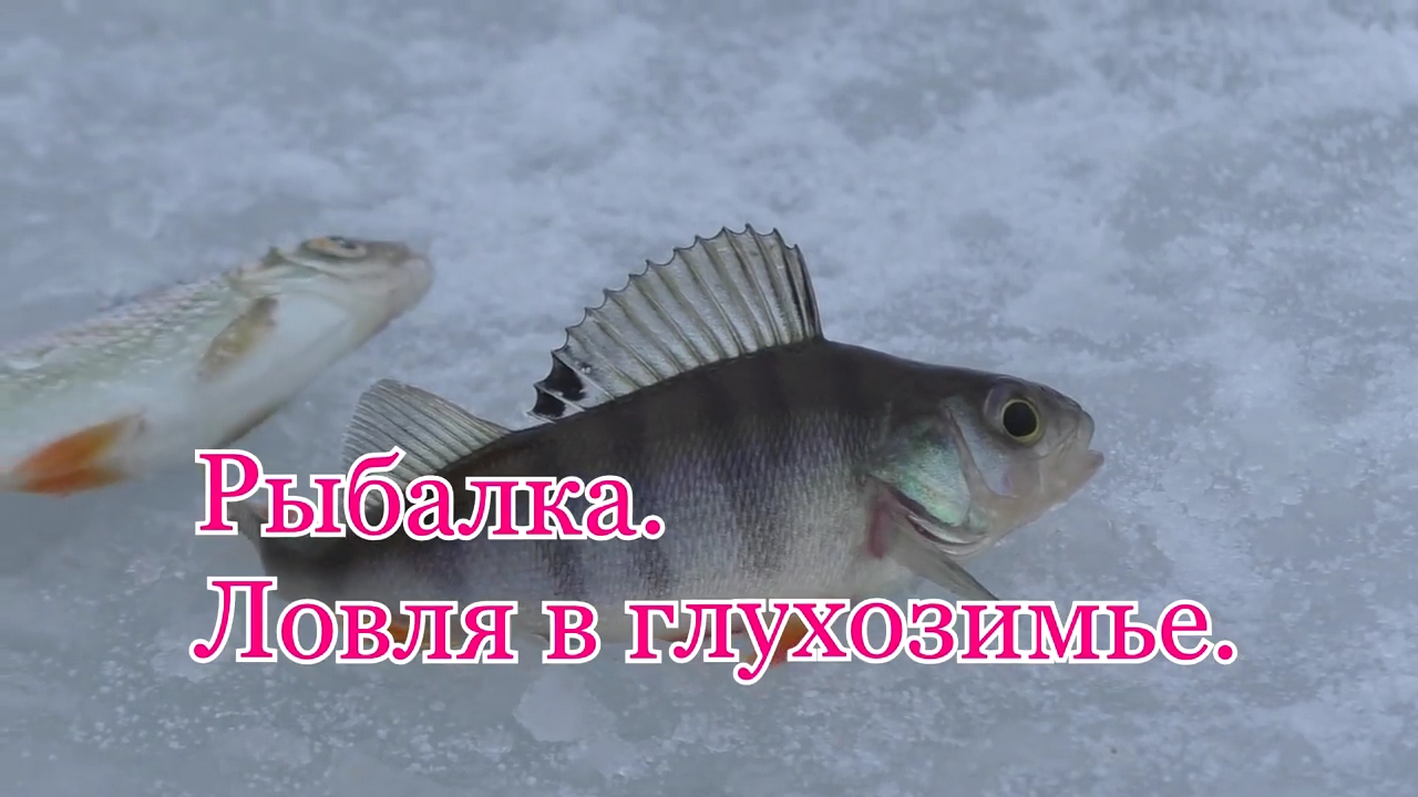 Рыбалка. Ловля в глухозимье. смотреть онлайн