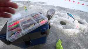 Подмосковная обалденная (платная) рыбалка! Зимняя рыбалка на форель.