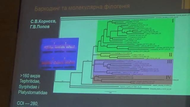 Корнеев В.А. Отчет Отдела Энтомологии Института зоологии НАНУ за 2018 год (Киев)