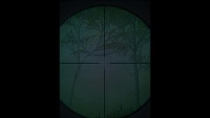 Кабан 300 метров