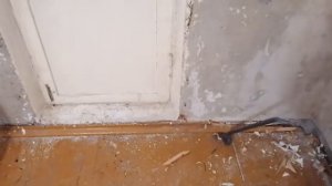 Как оборвать обои если они не отдираются.