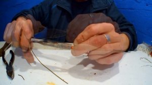 МАНДУЛА СВОИМИ РУКАМИ для ловли ЩУКИ и СУДАКА. Изготовление из АВТОРУЧКИ!