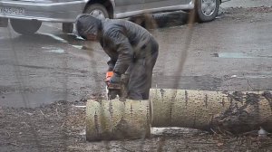 Городские лесорубы