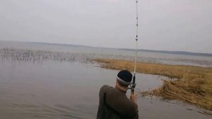 лещ на выползка