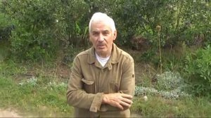 Почему голубика плохо растет?