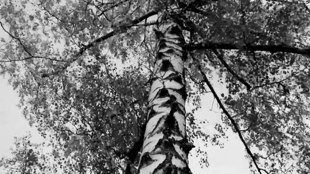 MusicAeterna 4 - Александр Маноцков "Белый день" (сл. Арсений Тарковский) смотреть онлайн