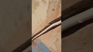 Установка электрического тёплого пола и терморегулятора.