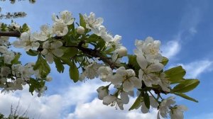 Ваш идеальный ЦВЕТ ВОЛОС по Знаку Зодиака.