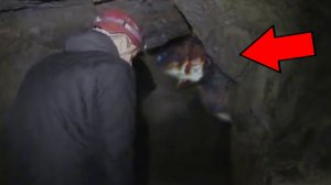 Ужасные случаи под землей