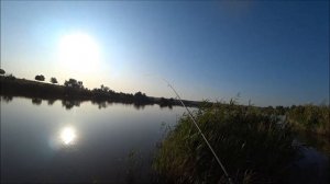 Тест- обзор Silver Stream Extreme Line-N EL732 xul