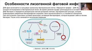 Лекция 13. Бактериофаги.