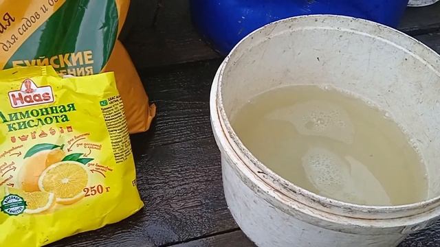 Вершинная гниль томатов, перцев, кабачков, баклажанов. Быстрый кальций. 30.06.21г смотреть онлайн