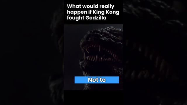 What would really happen if King Kong fought Godzilla