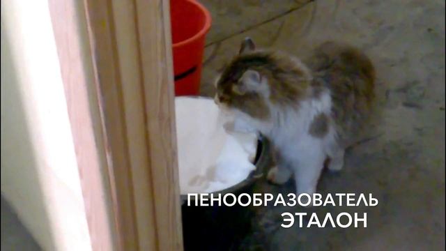 Пенообразователь Эталон для пенобетона