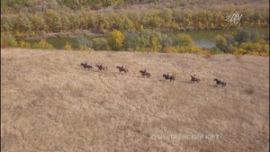 На конях у Казака