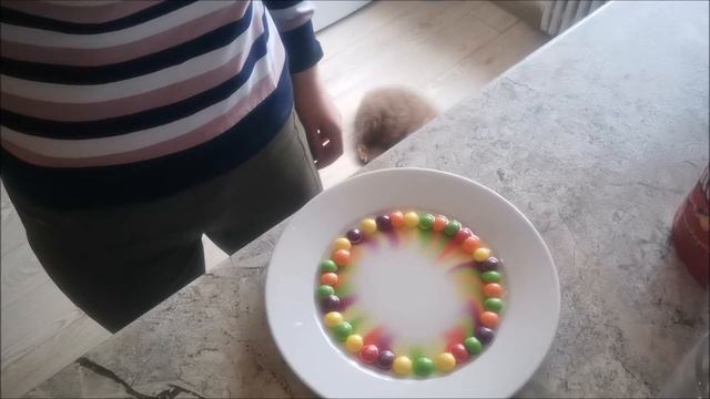 Рубрика «Волшебная лаборатория»: смотреть онлайн