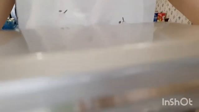 Обзор планетарнего миксера Kitfort KT-1338. Готовим тесто для пирожков. смотреть онлайн