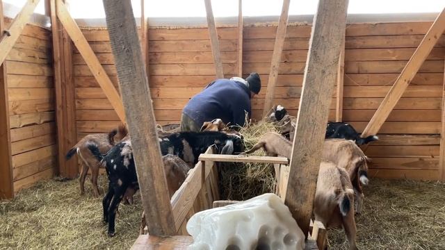 КАК ВЫЖИВАТЬ В ТАКИХ УСЛОВИЯХ?! СТРОЙКУ НИКТО НЕ ОТМЕНЯЛ! НАША ФЕРМА! ЖИЗНЬ ПРОСТЫХ ЛЮДЕЙ В ДЕРЕВНЕ смотреть онлайн