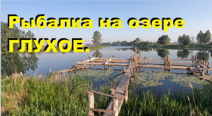 Рыбалка на фидер - озеро Глухое. Feeder fishing for roach on the Siberian lake.