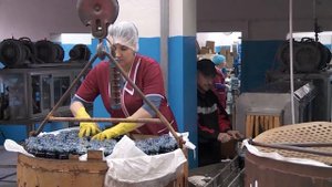 Алексей Кожевников на Вологодском комбинате пищевых продуктов леса