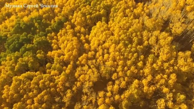 КРАСОТА ОСЕНИ! Самая красивая мелодия в мире! Эту музыку можно слушать вечно! музыка Сергей Чекалин