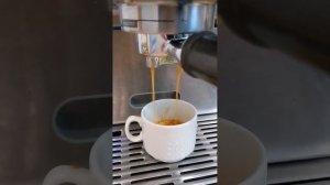 BORK C800, демонстрация работоспособности