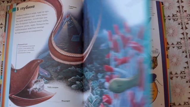 Животные. Лучшая энциклопедия для малышей от 2 лет смотреть онлайн