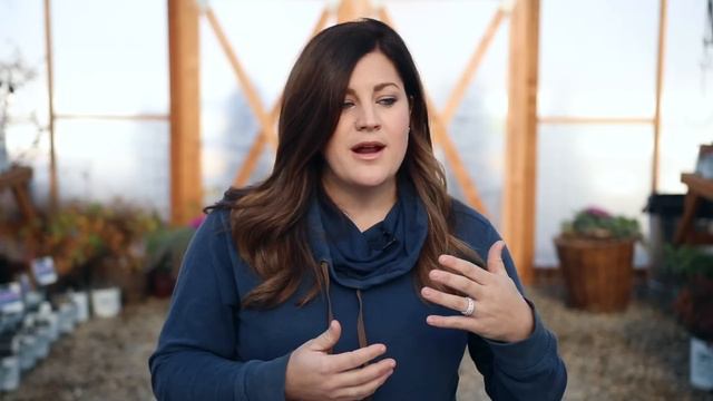 How to Care for Christmas Cactus 🌵🎄 // Garden Answer смотреть онлайн