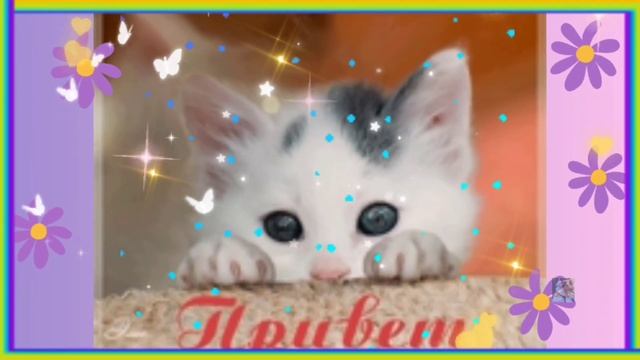 ? ПРИВЕТ~ КАК ТЫ? НЕ СКУЧАЙ ?? МУЗЫКАЛЬНЫЙ ВЕСЁЛЫЙ ПРИВЕТИК ДЛЯ ТЕБЯ ?
