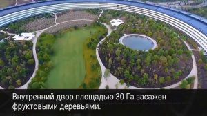 APPLE PARK  - штаб - квартира компании #Apple в Купертино, Калифорния