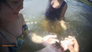 ЛОВЛЯ РАКОВ РУКАМИ; Подводная съёмка как ловить раков на рыбалке в Астрахани.