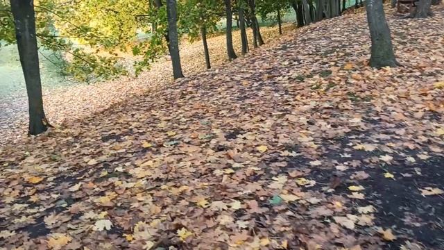 Болдино. Большое Болдино. Парк А. С. Пушкина. Шершим с нами.