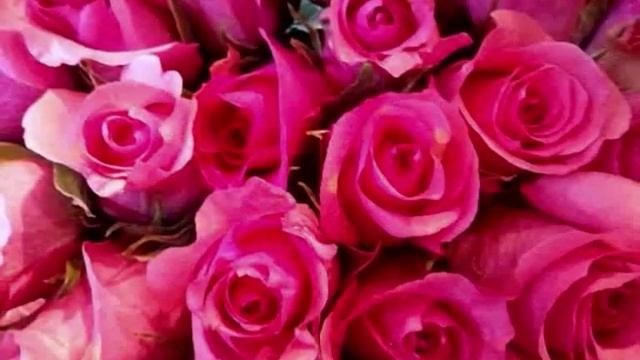 Поздравление учительницы с Днем рождения смотреть онлайн