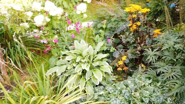 Обзор маминого сада. Обогрев теплицы осенью. смотреть онлайн