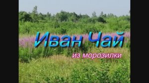 Иван чай из морозилки.