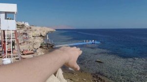 Египет 2021.Пляж Сива Шарм. Риф Сива Шарм. Дайвинг
