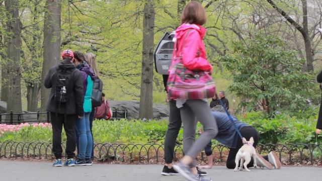 FARTING WITH ATTITUDE PART 3! смотреть онлайн