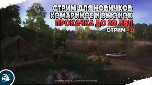 Стрим для новичков #2. Комариное и Вьюнок. Стрим Русская рыбалка 4